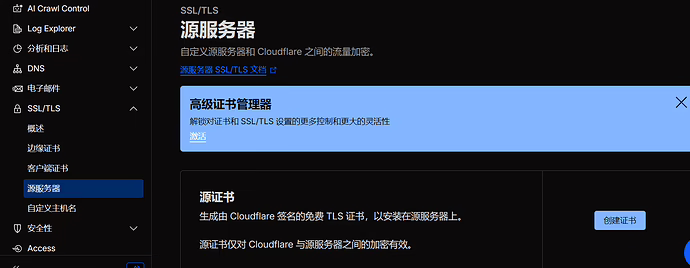 使用XHTTP传输方式，借助Cloudflare重新使用被封锁的代理服务器-图片5